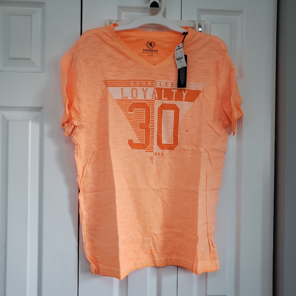 Mens Express V neck tee